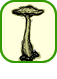 Links
